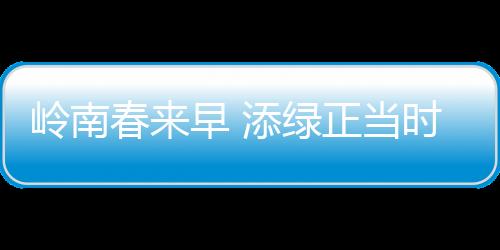 添绿为社区增添新绿