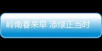 岭南春来早 添绿正当时	！香洲区大街小巷植树忙