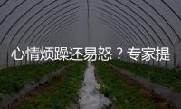 快排公司十年历程，霸屏兔 seo 的崛起与坚守