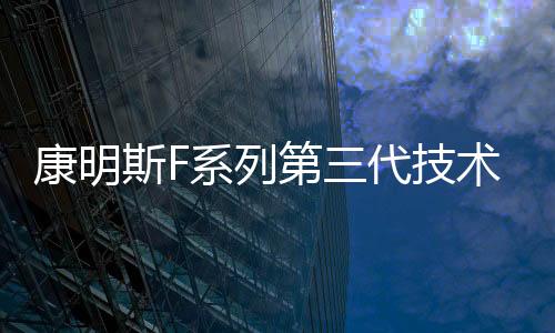 康明首批成员上台接受授牌