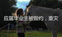 应届毕业生被毁约	，重灾区在当红行业
