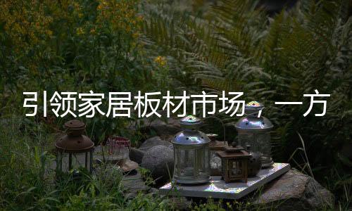 板材在天龙木业总部隆重举办