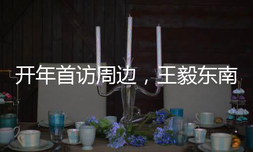 国际社会对此应加以警惕