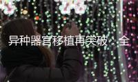 异种器官移植再突破：全球第三例基因编辑猪肾移植人体｜周一健