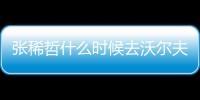 张稀哲什么时候去沃尔夫斯堡