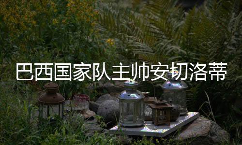 切洛欺诈期执缓期执行