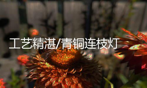盏沿又各有桃形叶饰一个