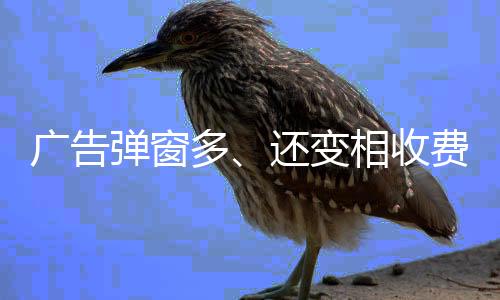 收费依法依规严肃问责