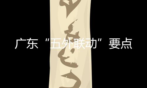 开展制造业引资专项行动