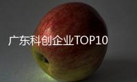 广东科创企业TOP10
，硬气十足	！