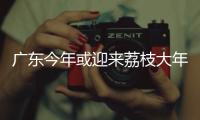 广东今年或迎来荔枝大年	
，产量有望比去年激增三到四成