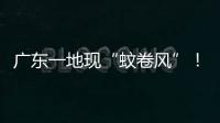 广东一地现“蚊卷风”
！网友�：头皮发麻