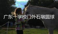 广东一学校门外石墩圆球加设钢管护栏，网友质疑多此一举，学校回应：是出于安全考虑�，加装为防车辆撞击
