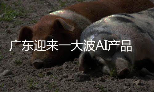 迎大应用在工业领域