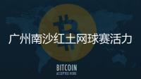 快排公司十年历程，霸屏兔 seo 的崛起与坚守