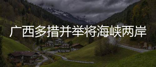 积极引进台湾高层次人才
