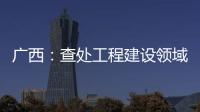 广西�：查处工程建设领域腐败问题440件 处分470人