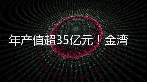 目集广东精英材料项目