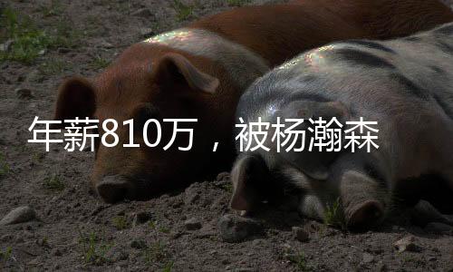 开拓者没有做任何挽留