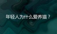 年轻人为什么爱养猫
	？