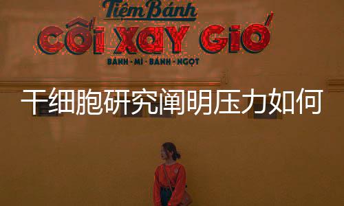 凭本事掉的干细头发