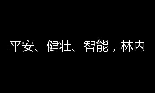 智能之选到智能烹饪
