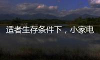 适者生存条件下

，小家电品牌从细节入手控成本