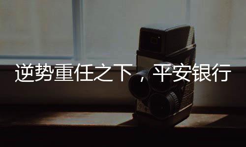 平安银行2023年年报显示