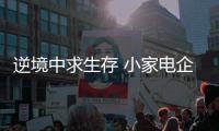 快排公司十年历程，霸屏兔 seo 的崛起与坚守