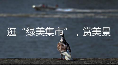 全天候维护着公园环境