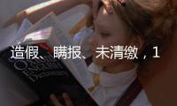造假、瞒报、未清缴，141条碳市场罚单里的秘密