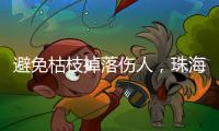 避免枯枝掉落伤人�，珠海数字城管开展行道树专项治理