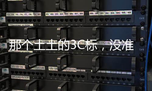 准真正但有个CE标啊