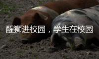 醒狮进校园，学生在校园感受浓郁广府文化熏陶