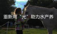 重新用“光”助力水产养殖