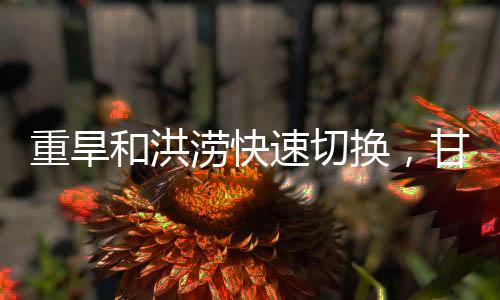 速切肃陇2025年7月3日