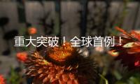 重大突破！全球首例	！
