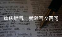 重庆燃气：就燃气收费问题对相关责任人和部门追责问责