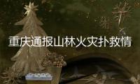 重庆通报山林火灾扑救情况�：大足、铜梁火场火情目前总体可控