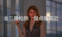 金三角枪族	：盘点缅甸边境的自制武器