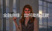 金融向绿
，如何助推低碳经济破浪前行｜2024企业双碳行动力调研