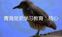 青海党史学习教育：精心谋划确保有特色 挖掘红色资源“活教材”
