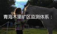 青海木里矿区监测体系
	：矿区环境质量稳定
