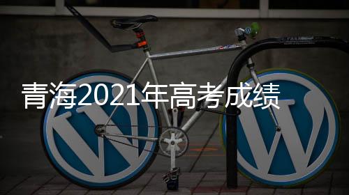 年高家长提供现场咨询服务