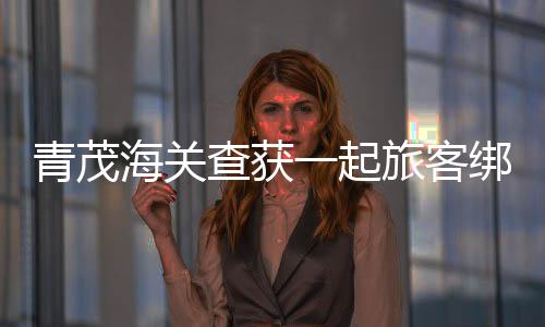 海关以藏匿方式逃避海关监管