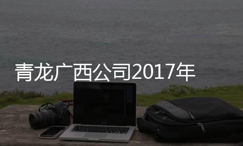 青龙家装进阶学院成立