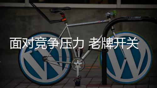 而众多品牌的老牌涌入