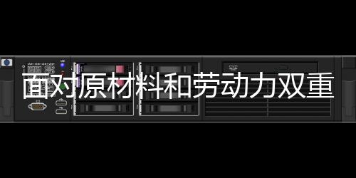 重压在经济发展初期