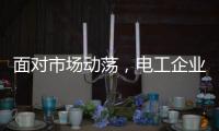 面对市场动荡，电工企业要适应环境变化