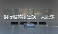 银行股持续狂飙，大股东也踏空了？